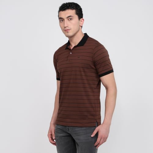 Image of Park Avenue Men Slim Fit Stripe Pattern Pure Cotton Polo Neck Half Sleeve Casual T-Shirt