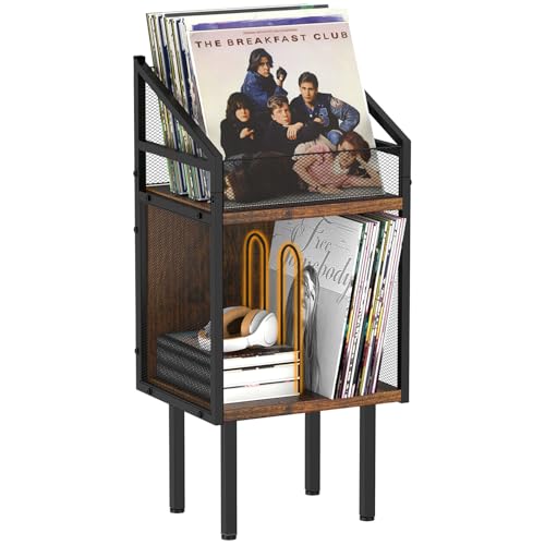 Marbyraz Vinyl Record Storage