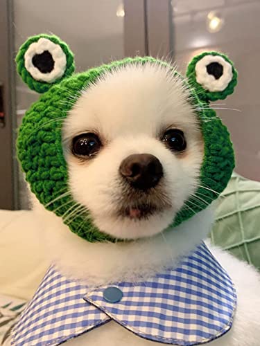Qwinee Cat Costume Lion Head Frog Funny Mane Cat Hat Halloween Christmas Party Costume Headwear For Puppy Cat Kitten Small Dogs Green L #TOP5