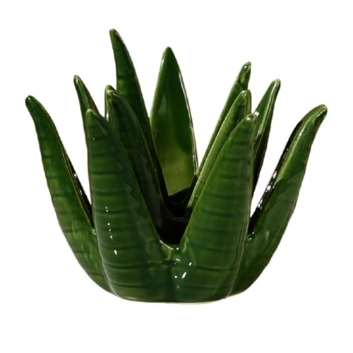 IMUSINICE Organizador de Joyas y Bandeja de Cerámica Diseño de Aloe Vera, Plato Compacto para Anillos y Collares, Adecuado para Escritorio y Tocador