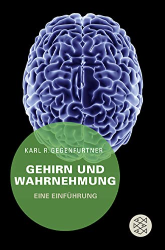 Gehirn und Wahrnehmung: Eine Einführung