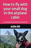 How to fly with your small dog in the airplane cabin: A practical guide for national and international air travel with your tiny best friend