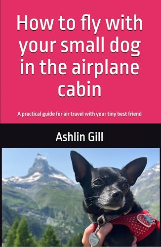 How to fly with your small dog in the airplane cabin: A practical guide for national and international air travel with your tiny best friend