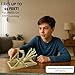 PATHFINDERS STEM Kit – Medieval Catapult kit| Trebuchet Science Kits for Kids Age 8-10 10-14 | stem Kits for Kids Age 12-14 Physics Toys | Kids Engineering kit | Learning Resource