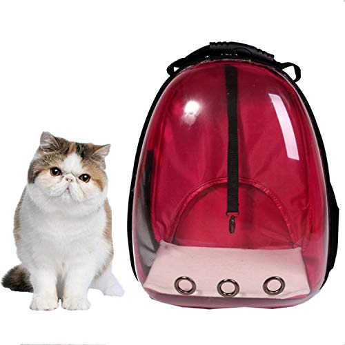 Lyn's Pet Carrier, HardSided Pet Bag, Cat/Dog Bubble Backpack, Pet