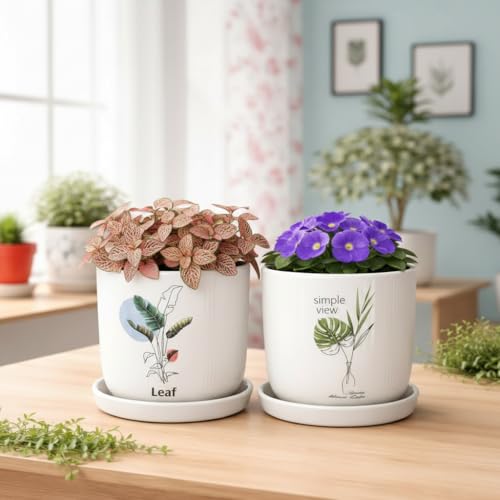 Image of Xtore Aureflora Ceramic Planter with Drainage Tray | Artistic Floral Print Pot for Home, Study Table & Window Decor - (White, 2 Piece, Planter ONLY)