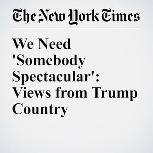 We Need 'Somebody Spectacular': Views from Trump Country cover art
