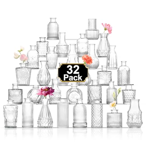ROLLSCERAY Lot de 32 vases à bourgeons en verre transparent pour centres de table, petits vases pour fleurs, mini vase à fleurs vintage pour centres de table,...