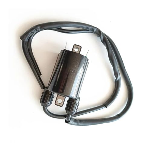 Bobine d'allumage CBR125R pour rouler sereinement au quotidien et lors des longues virées