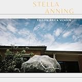 brick veneer backsplash  Yellow Brick Veneer