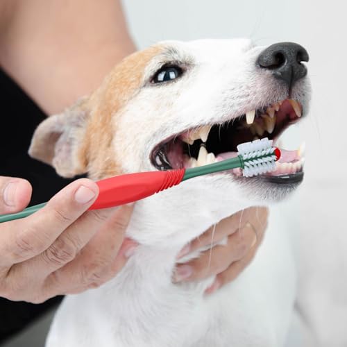 STSAIL 2PCS Dog Toothbrush 360 Degree Dog Tooth Brush, Dual Head Dog Tooth Brushing Kit Non Slip Toothbrush for Dogs and Cat Teeth Clean Pet Toothbrush Dental Care - Thumbnail 7