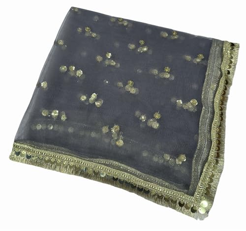 Image of Navti Creations Women's Lightweight Net Dupatta With Sequence Embroidery & Kiran Border (Length 2.25m)