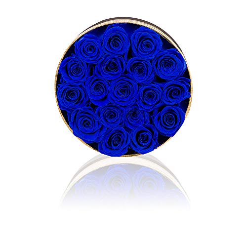 Royal Blue Preserved Roses Handmade Real Roses in Flowers Box That Last a Year, Long Lasting Rose for Valentine's Day, Mother's Day, Birthday, Christmas, Anniversary, Wedding, Thanksgiving