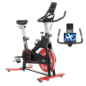 Hometrainer met 8 kg vliegwiel, fitnessfiets voor thuis, weerstand instelbaar, lcd-monitor, met hartslagmeter, waterfleshouder, iPad-houder, indoor fitnessfiets, belastbaar tot 120 kg