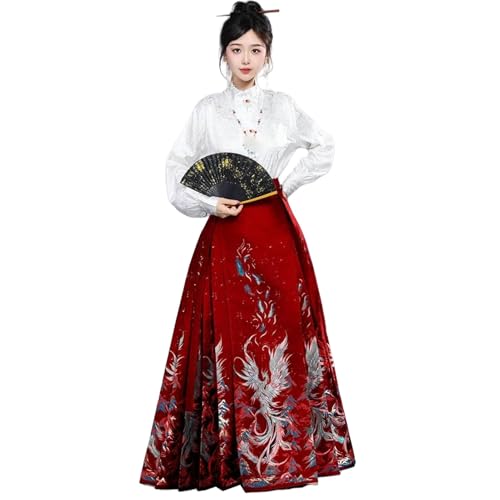 Dynastie Ming jupe Hanfu haut de gamme aux détails de fleurs peintes