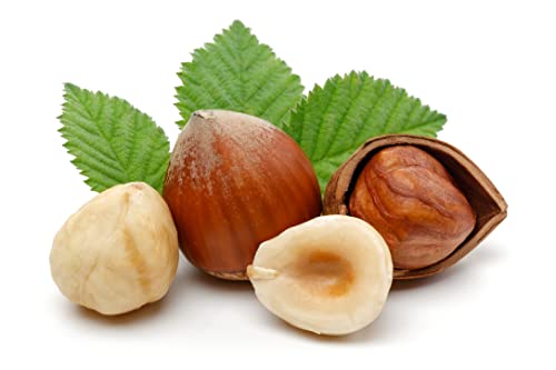 Cocojojo Hazelnut Oil 100% Pure Unrefined Cold Pressed Premium Grade A For Hair Skin Hydrating Moisturizing 32 Ounce #TOP2