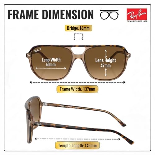 Image of Ray-Ban RB2205 BILL ONE Square-Round Sunglasses with Official Eyewear Kit