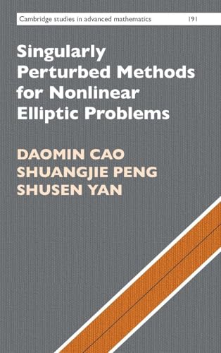 Singularly Perturbed Methods for Nonlinear Elliptic Problems (Cambridge Studies in Advanced Mathematics) view 2