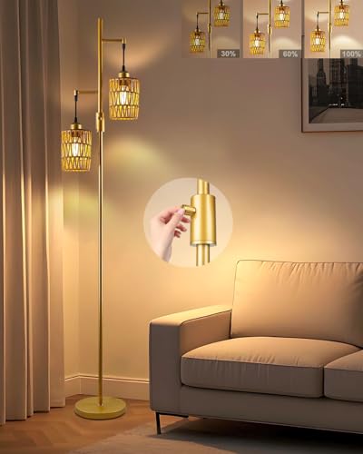 Lightdot 65 Boho Dimmable Floor Lamp with Gold Cages