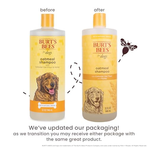Burts Bees for Pets Oatmeal Dog Conditioner, Fragrance-Free, 10 Fl Oz, 6-Pk - image 3