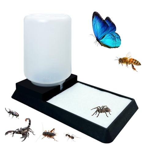 Insect Water Feeder,Spider Water Dispenser,Bug Watering