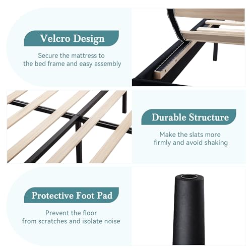 HOOMIC King Size Velvet Upholstered Bed Frame, Vertical Channel Tufted Wingback Headboard, Wooden Slats Support Platform, No Box Spring Needed, Easy Assembly, Black