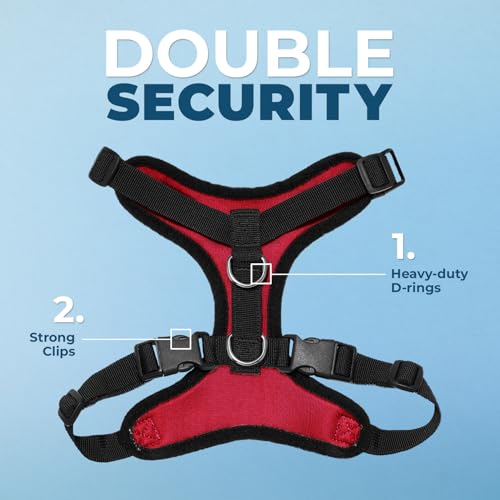Image of Best Pet Supplies Voyager Step-in Lock Pet Harness w Reflective Pet Leash Combo Set with Neoprene Handle 5ft - Supports Small, Medium and Large Breed Puppies /Cats - Red /Black Trim, XL
