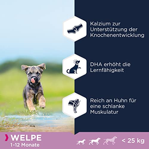Eukanuba Welpenfutter getreidefrei mit Huhn für kleine und mittelgroße Rassen - Trockenfutter ohne Getreide für Junior Hunde, 12 kg