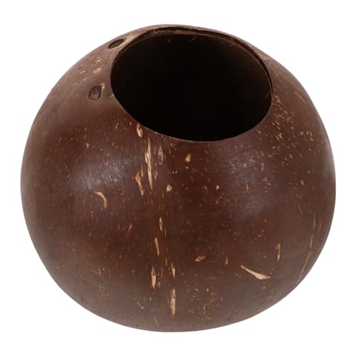 Luxshiny Ciottoli di Cocco Naturali Vasi da Giardinaggio per Piante Grasse Vasi per Piante di Cocco Tazza da Vaso Sospeso a Bassa Profondità Fioriera Sospesa per Vaso da Fiori