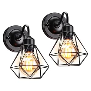 iDEGU 2 stuks industriële wandlamp, vintage lamp van metaal, design, kooi, zwart, E27, wandlamp voor binnen, voor…