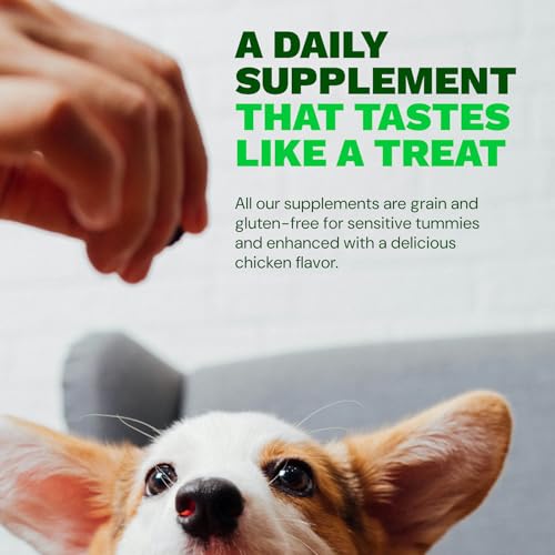 Calming Chews Anxiety Supplement for Dogs, Vet Recommended Soft Daily Relaxation & Stress Relief Support with Valerian Root & Chamomile, Made in USA - 90 Count - Image 6
