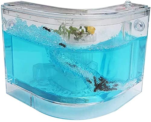 TYSJL Acryl Mierenboerderij, huisdier mier nest, insectenvilla, verjaardagscadeau, anthabitat educatief en leren natuurwetenschappelijke kit, cadeau, roze (Color : Green, Size : 0) - Afbeelding 8