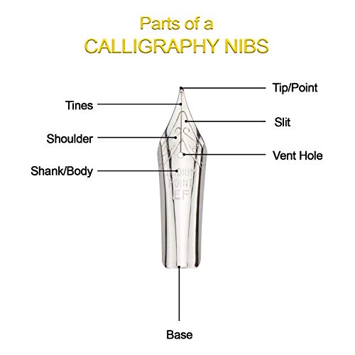 Trustela Office Supplies Calligraphy Nibs, 18 Calligraphy Pen Nibs, Dip Pen Nibs, Feather Pen Nibs, Quill Pen Nibs, Ink Pen Nibs, Fountain Pen Nibs #TOP7