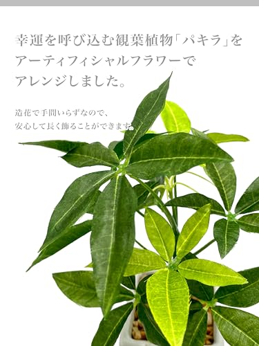 [ mamawreath ] 観葉植物 フェイク ミニ ポット パキラ 1個 水やり不要 グリーン 小さい 卓上 おしゃれ アーティフィシャルフラワー インテリア リビング 人工 造花 枯れない 陶器 幸運 プレゼント 高さ20cm×幅13cm (ミニパキラポット(V23006)) [2]