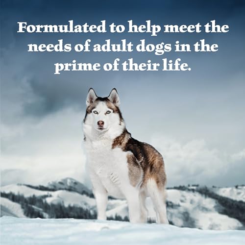 Blue Buffalo Wilderness Wolf Creek Stew Excessive Protein Pure Moist Meals for Canines Hearty Duck Stew in Gravy 125ozcans 12 Depend  Cucciolini Doodles Blue buffalo wilderness wolf creek stew excessive protein pure moist meals for canines hearty duck stew in gravy 12 5 oz Cans 12 depend   cucciolini doodles