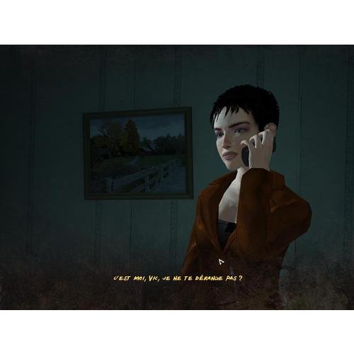 Still Life La Saga Pc - vue 4