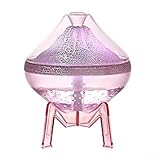 Caractéristiques de sécurité : équipé d'une fonction d'arrêt automatique lorsque les niveaux d'eau sont faibles, fonctionnement sûr et combustion à sec lors d'une utilisation prolongée.