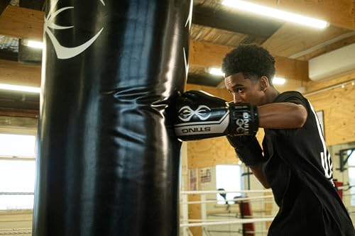Image of STING Boxing - Armalite Boxing Gloves | for Competition & Training (10OZ, Black /Silver)