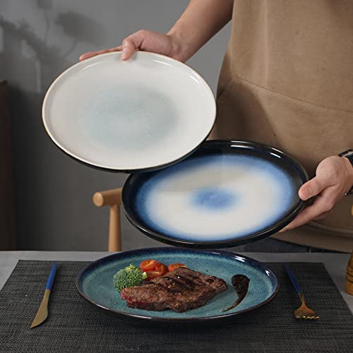 Ste-Cer Dinner Plates Set Of 4,10.2 Inch Ceramic Plates Set For Steak,Pasta,Salad,Japanese Style Plates For Kitchen And Restaurant,Dishwasher, Microwave & Oven Safe(Assorted Colors) #TOP2