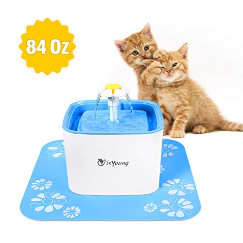 isyoung pet fountain