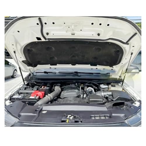Vérins de capot robustes en acier pour Ford Everest et Ranger - 4