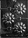 Cybrtrayd Life of the Party F097 Large Daisy Lolly Flower Chocolate Candy Mold in Sealed Protective Poly Bag Imprinted with Copyrighted Cybrtrayd Molding Instructions