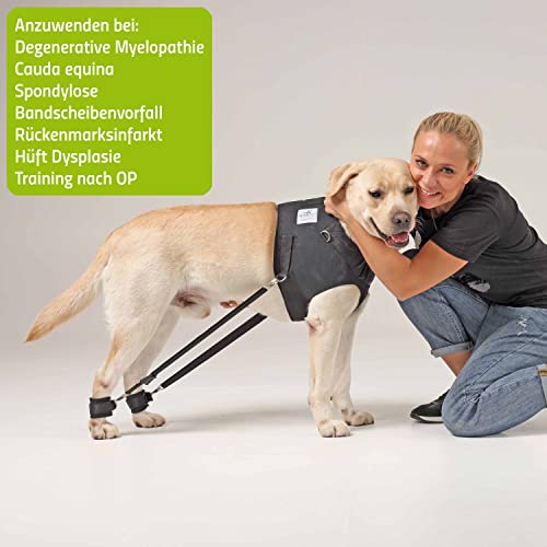 Nature Pet Hundeexpander & Rehageschirr für Hunde – Flexipander zur Rehabilitation, Mobilitätshilfe & sanften Unterstützung L
