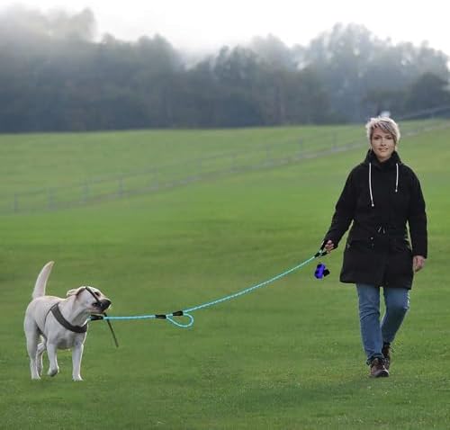 Plutus Pet Rope Dog Leash 6ft Long,Traffic Padded Two Handle,Heavy Duty,Reflective Double Handles Lead for Control Safety Training,Leashes for Large Dogs or Medium Dogs,Dual Handles Leads(Light Blue) - 4