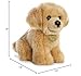 Aurora® Adorable Miyoni® Tots Golden Retriever Pup Stuffed Animal - Lifelike Detail - Cherished Companionship - Brown 11 Inches