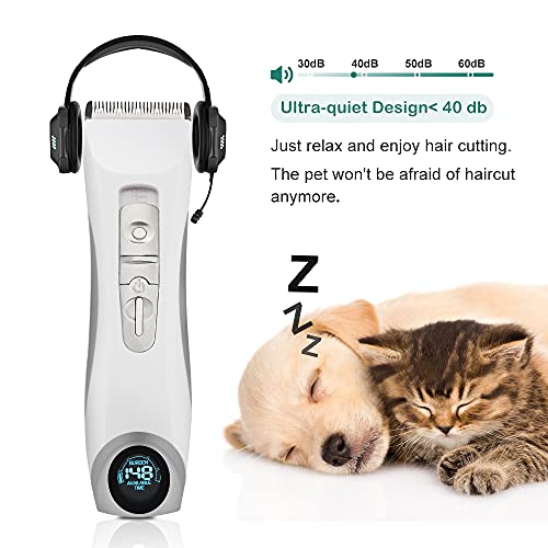 Triumilynn Buying Guide GistGear