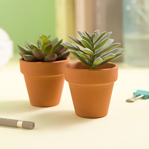 Fcacti 54 Pcs Small Mini Clay Pots 2.1'' Terracotta Pot Clay Ceramic Pottery Planter Cactus Flower Pots Succulent Nursery Pots- Great for Window Boxes, Cactus, Plants, Crafts, Wedding Favors Fcacti 54 Pcs Small Mini Clay Pots 2.1'' Terracotta Pot Clay Ceramic Pottery Planter Cactus Flower Pots Succulent Nursery Pots- Great for Window Boxes, Cactus, Plants, Crafts, Wedding Favors - Image 3