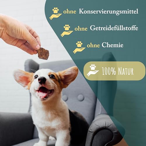 Rinderlungenwürfel für Hunde I 2,5 kg I Rinderlunge getrocknet würfel klein I Trainingsleckerli Hund I Rinderlunge für Hunde getrocknet | fettarm I Leckerlies von Wuffsnacks