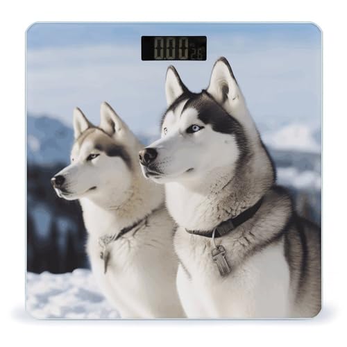 Báscula Digital para Baño Husky Dogs de Vidrio Templado miniatura 1