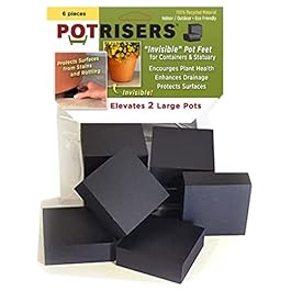 (Large 2″ x 2″...